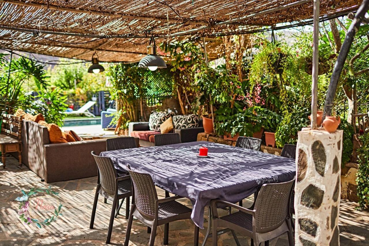 Oasis Fataga Maspalomas (Gran Canaria)